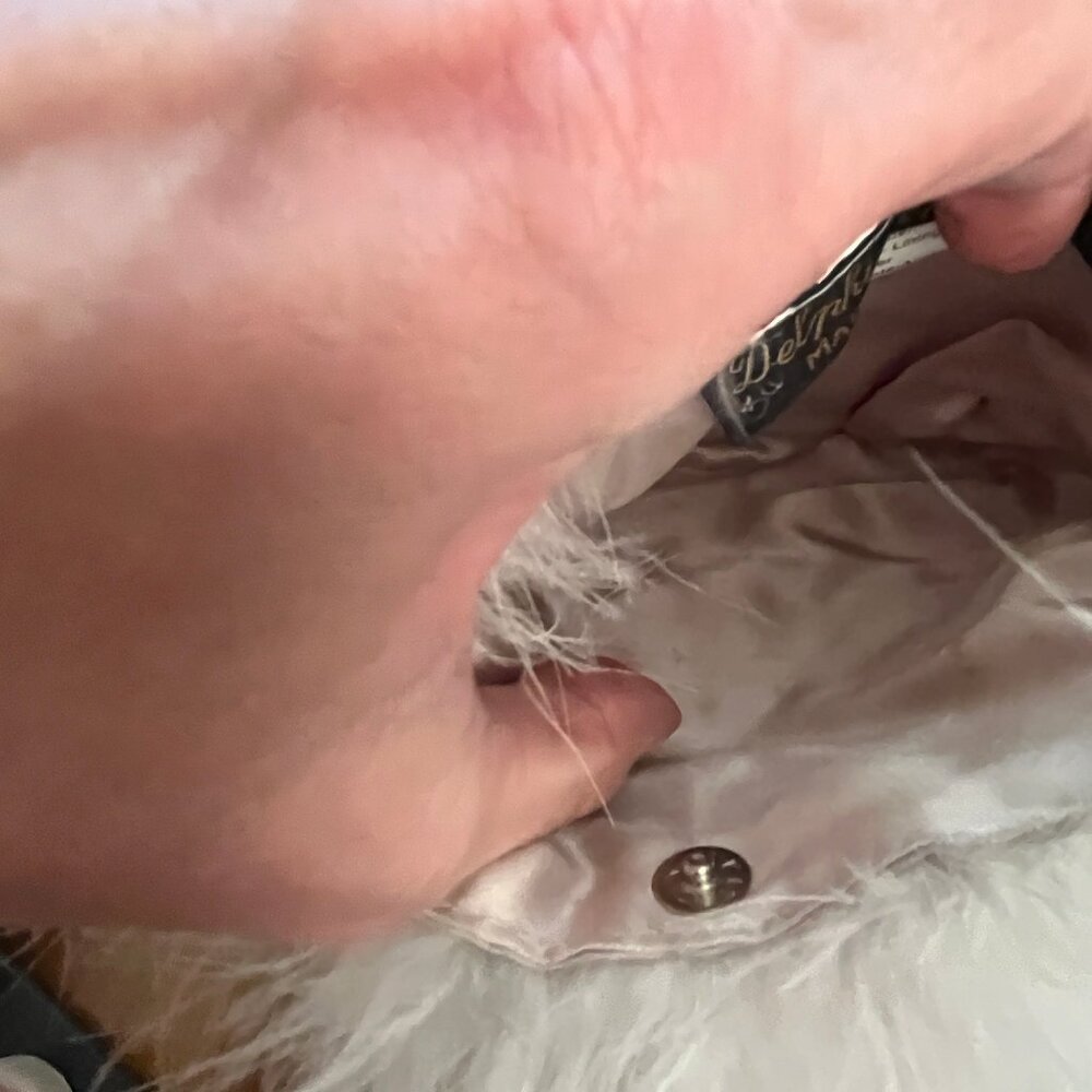 Gorgeous Vintage Delphine Pariente Made in France Feather Purse 1985 - EUC -Rare - Picture 10 of 16